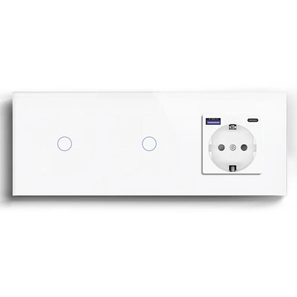 BSEED Product Customization Bseedswitch double wifi 1gang switch with eu socket with usb-c port