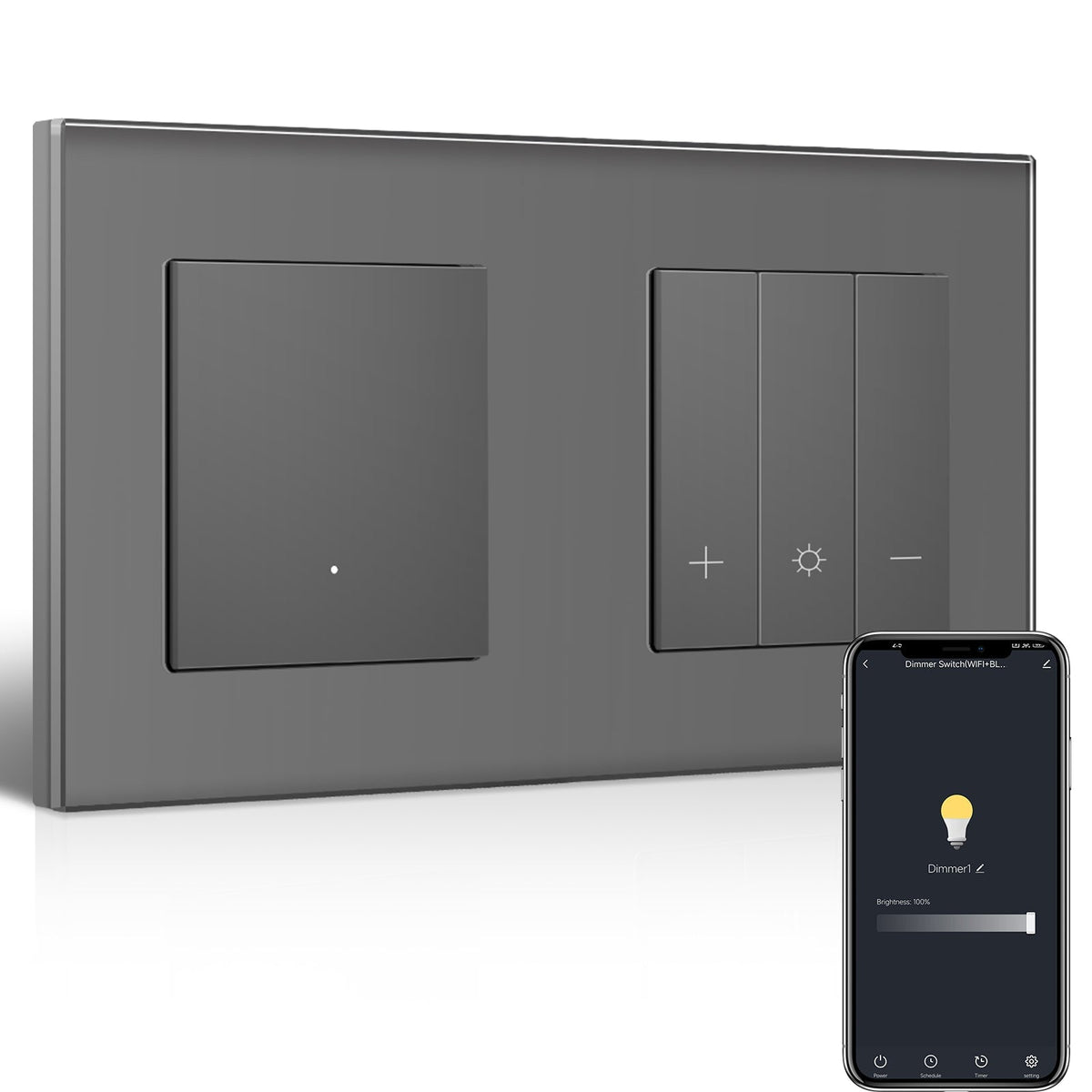 Bseed Echo Smart Wifi Light Switch with Dimmer switch Wifi Work With Alex Google Assistant Wall Plates & Covers Bseedswitch Grey 1 Gang Switch+Dimmer