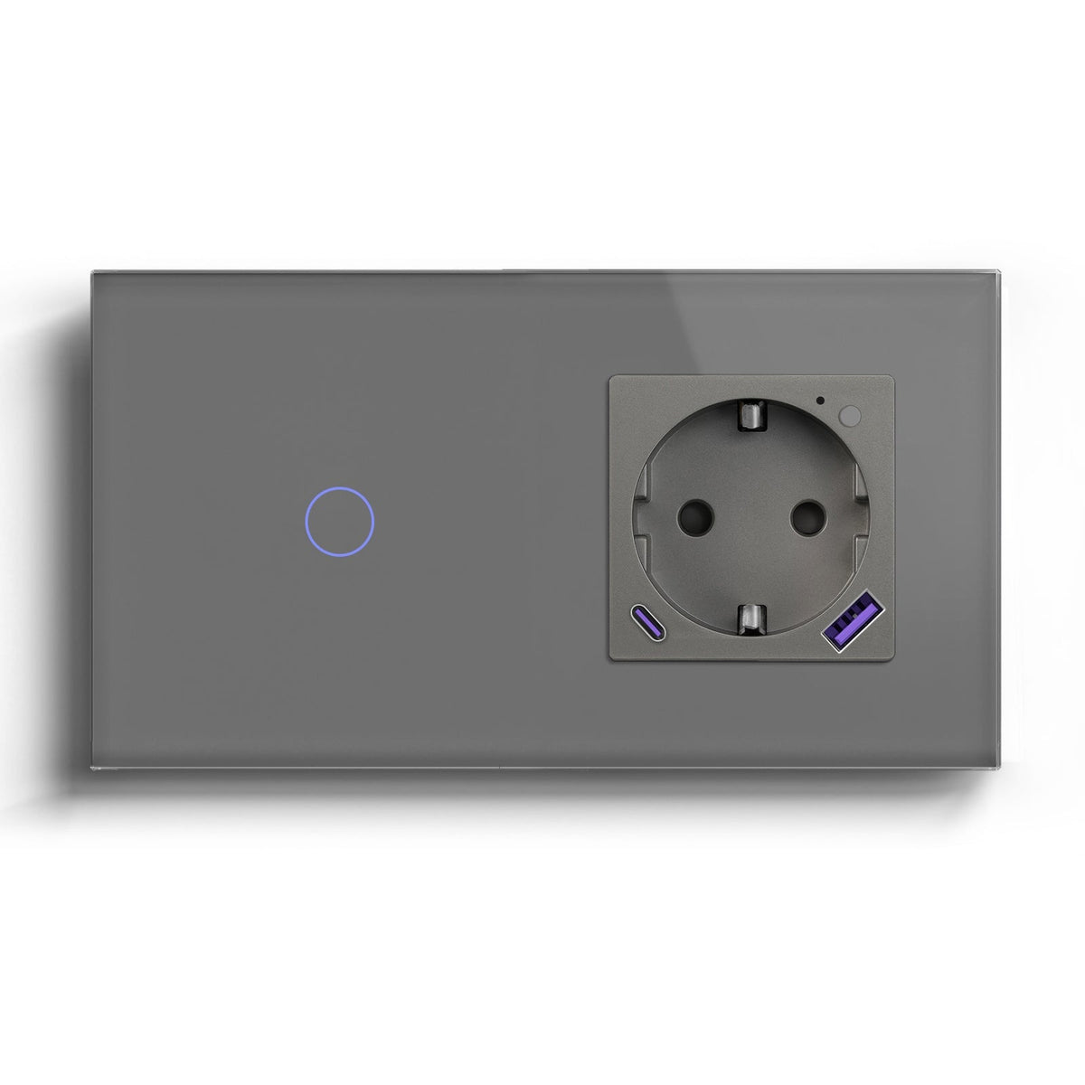 Wifi Switch With Wifi Eu Socket With 20W USB-C Power Outlets & Sockets Bseedswitch Grey 1Gang