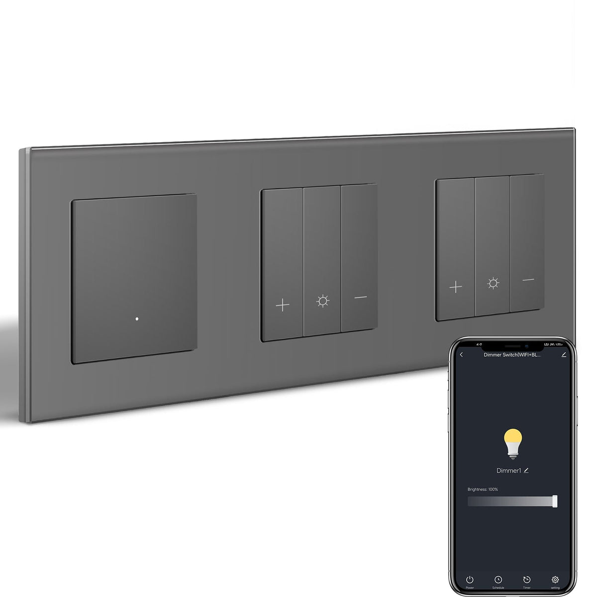 Bseed Echo Smart Wifi Light Switch with Double Dimmer switch Wifi Work With Alex Google Assistant Wall Plates & Covers Bseedswitch Grey 1 Gang Switch+Dimmer+Dimmer