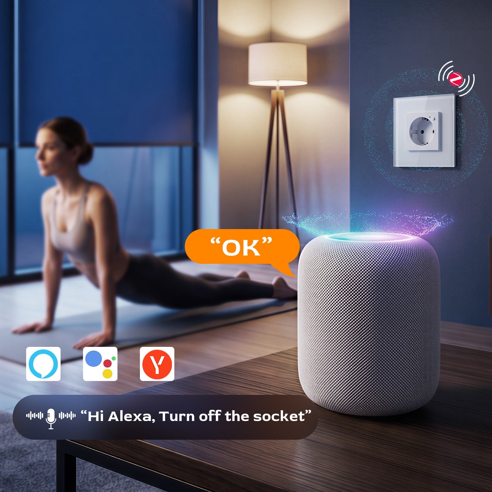 BSEED Zigbee Eu Standards Socket Work with Alexa Google Assitant Smart Zigbee Socket socket Bseedswitch 