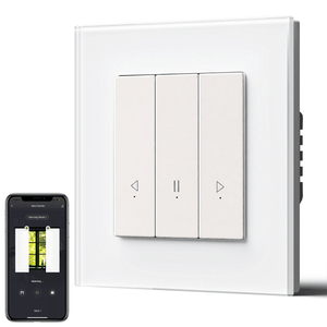 Bseed Echo Click Smart Wifi Curtain Switch Work with Tuya Alex Google Assistant Home Automation Kits Bseedswitch White 