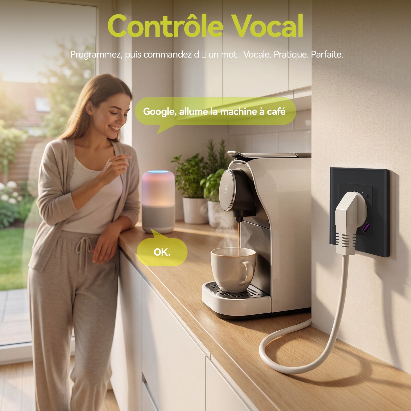 BSEED Echo Wifi FR Standards Socket with Energy Monitoring Smart wifi Electric Socket Work with Alexa Google Assitant socket Bseedswitch 