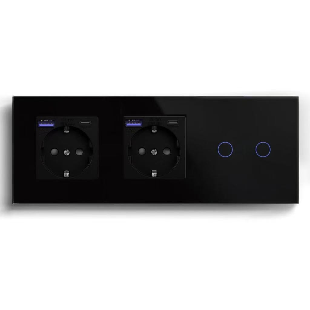 BSEED Product Customization Bseedswitch double eu socket with fast charge usb-c port with wifi 2gang switch 
