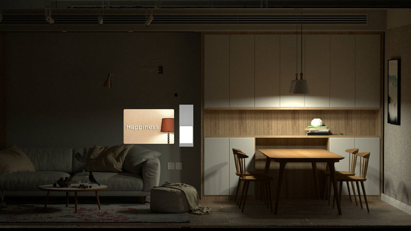 Choose Your Light Scene